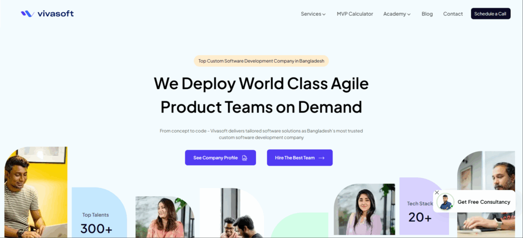 vivasoftltd homepage
